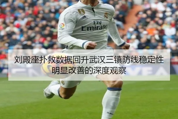 刘殿座扑救数据回升武汉三镇防线稳定性明显改善的深度观察